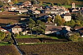 France, Saone-et-Loire (71), Fuisse, village vineyards of the Mâconnais, Pouilly Fuisse AOC Burgundy, its vineyards in the village