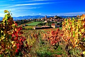 France, Rhône (69), Oingt, labeled The Most Beautiful Villages of France, seen from Beaujolais, in the autumn, on the road of golden stone