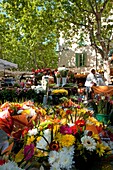 'France, Gard (30), Uzès, market day on the Place aux Herbes;'