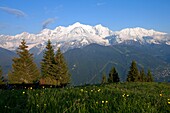 France, Haute-Savoie (74), Mont Blanc (4807 m), scenery from the cottages of Varan in Passy