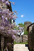 France, Lozère (48), La Garde Guerin, fortified village, labeled The Most Beautiful Villages of France, twelfth century medieval dungeon