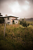Farm House Surrounded by Tall Grasses and Plants, Grundarfjordur, Snaefellsnes Peninsula, Iceland