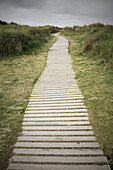 Path through the dunes to the beach, Findhorn, Moray, Scotland., Path through dunes to the beach, Findhorn, Scotland.