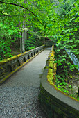 A stone road bridge over Whatcom Creek and Falls, Whatcom Falls Park, Bellingham in Washington. Thick woodland, trees and thick vegetation., Whatcom Falls Park, Bellingham, Washington
