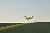 A crop duster aircraft flying low over spring wheat fields in the Palouse region near Pullman, Washington, USA, Crop Duster aircraft