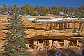 Cliff dwellings at Mesa Verde National Park, Colorado, USA, America