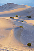 View of Mesquite Flat Sand Dunes in the evening, Death Valley National Park, California, USA, America