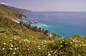 View of Pacific coast, Big Sur Coast bei Big Sur, All American Hwy, California, USA, America