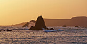 Pazifische Küste bei Albion bei Sonnenuntergang, Mündung des Albion River in den Pazifik, Mendocino, Kalifornien, USA, Amerika