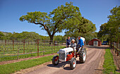 People driving a tractor, Anderson Valley, Mendocino, California, USA, America