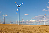 Windenergieanlage im Getreidefeld, Windpark neben der Autobahn A2 nach Berlin, Sachsen-Anhalt, Deutschland