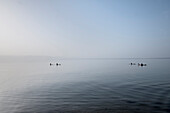People floating in the Dead Sea, Dead Sea Panorama resort, Jordan, Middle East, Asia