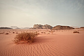 Typische Wüstenlandschaft im Wadi Rum, Jordanien, Naher Osten, Asien