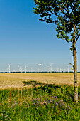Windmills parc near Eider-Barrage, Northern Frisia, Schleswig Holstein, Germany
