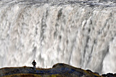 Man in front of the waterfall Dettifoss, North Iceland, Europe