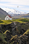 House in Arnarstapi under the Snaefellsjökull, Snaefellsnes peninsula, West Iceland, Europe
