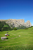 Alpine meadow and hay barns in front of Schlern and Rosszaehne, Seiseralm, Dolomites, UNESCO world heritage site Dolomites, South Tyrol, Italy