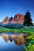 Langkofel spiegelt sich in Bergsee, Langkofel, Dolomiten, UNESCO Weltnaturerbe Dolomiten, Südtirol, Italien