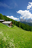 Bauernhof vor Langkofel, Grödnertal, Dolomiten, UNESCO Weltnaturerbe Dolomiten, Südtirol, Italien
