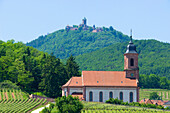 Orschwiller church with Koenigsburg, Orschwiller, Alsace, France, Europe