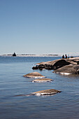 People relaxing on rocks, Hanko, Southern Finland, Finland, Europe