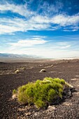 USA, California, Death Valley National Park, Ubehebe Meteor Crater, landscape around the crater