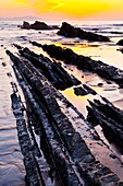 Flysch, Zumaia beach, Zumaia, Gipuzkoa, Basque Country, Spain