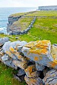 Dún Duchathair - Black Fort Cliffs  Inishmore Island, Aran Islands, Galway County, West Ireland, Europe