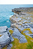 Dún Duchathair - Black Fort Cliffs  Inishmore Island, Aran Islands, Galway County, West Ireland, Europe