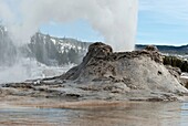 Castle Geyser Erupting, Yellowstone NP, WY