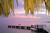 Curaçao, Netherlands Antilles, Dutch, Piscadera Bay, Hilton Curaçao, hotel, resort, global company, chain, hospitality, Caribbean Sea, dusk, pier, ocean, boat, palm fronds, serene, calm, clouds