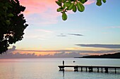 Curaçao, Netherlands Antilles, Dutch, Piscadera Bay, Caribbean Sea, pier, man, standing, rowboat, coastline, sunset, twilight, pink cloud, silhouette, bush