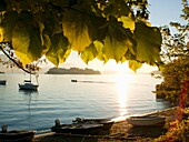 Isola dei Pescatori, Borromean Islands, Lake Maggiore, Piedmont, Italy