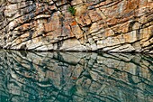 Reflections in Horseshoe Lake, Jasper NP, Alberta, Canada