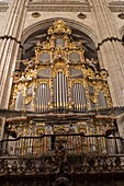 Interior New Cathedral, organ, Salamanca, Castilla y león, Spain