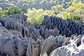 Tsingy de Bemaraha Strict Nature Reserve is a nature reserve located near the western coast of Madagascar in Melaky Region  The area was listed as a UNESCO World Heritage Site in 1990 due to the unique geography, preserved mangrove forests, and wild bird.
