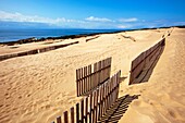 Dunes on Punta Paloma beach, Tarifa, Andalusia, Spain.