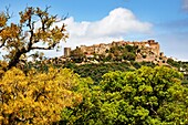 Castellar de la Frontera, Cadiz province, Andalusia, Spain