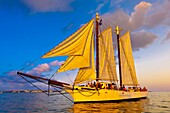 The schooner Western Union at sunset, off Key West, Florida Keys, Florida USA
