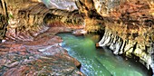 The Subway is aglow during the spring run off at Zion National Park
