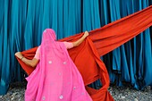 India, Rajasthan, Saree factory