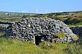 Ireland, County Galway, Aran Islands, Inishmore, Clochan na Carraige stone hut 5-10th C A D