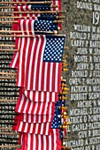 Washington Vietnam Veterans Memorial with American flag, State Capitol Mall, Olympia, Washington
