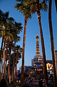 Las Vegas, Nevada - The Paris Hotel on The Strip