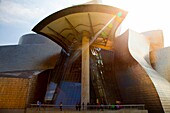 Guggenheim Museum, Bilbao, Biscay, Basque Country, Spain