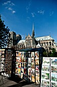 Sale of secondhand books in the pier Tournelle and the Cathedral of Notre Dame in the city of Paris, France