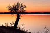 Alqueva Dam, Alentejo, Portugal, Europe