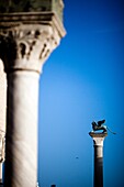 The Piazzetta winged lion background and a column from the Doge´s Palace foreground, Venice, Italy