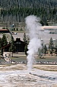 Old Faithful Geyser in Yellowstone National Park, Wyoming, USA