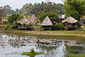 Teich mit Seerosen in der Provinz Kampot, Kambodscha, Asien